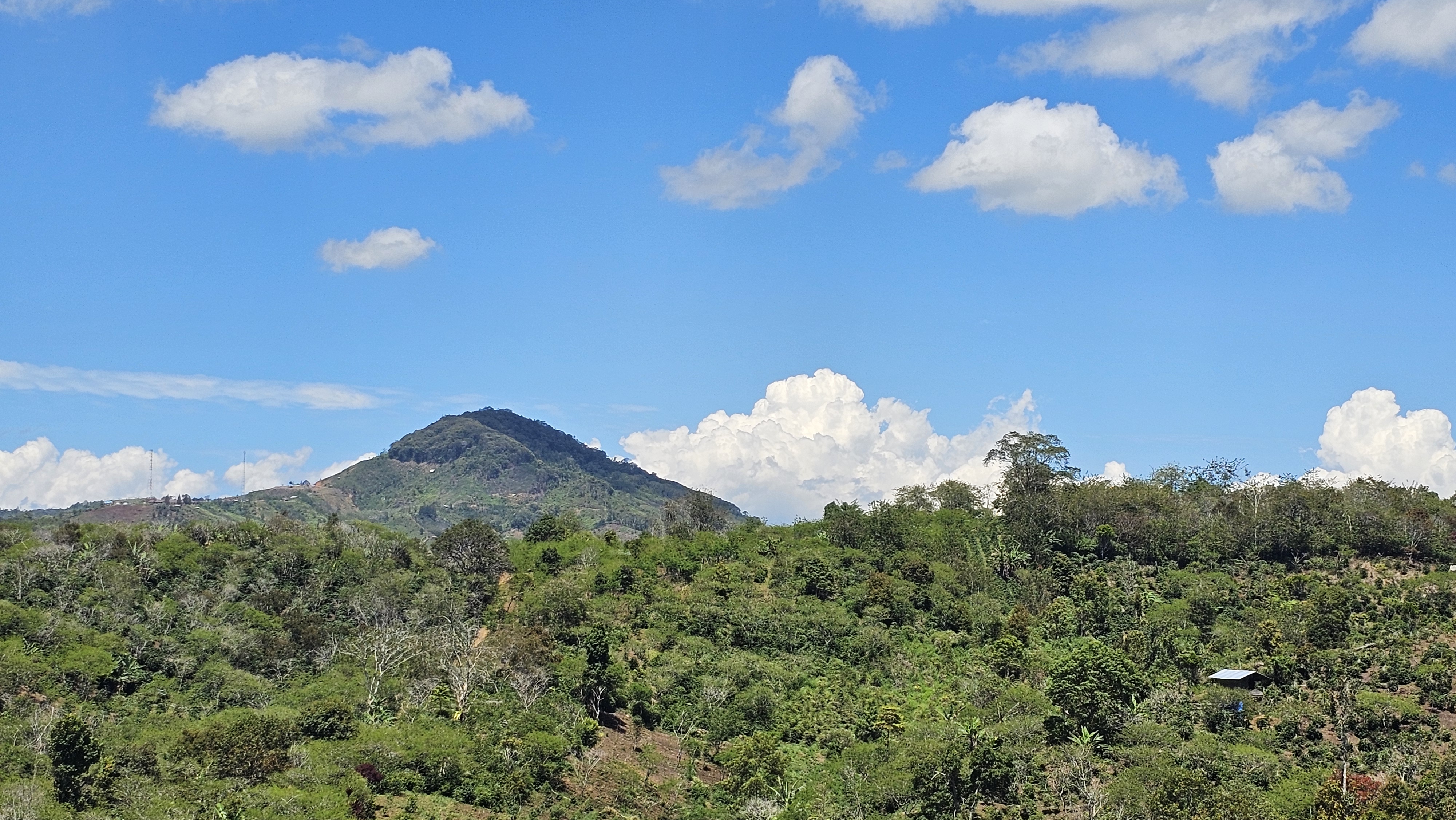 Aceh Gayo Coffee Region Landscape